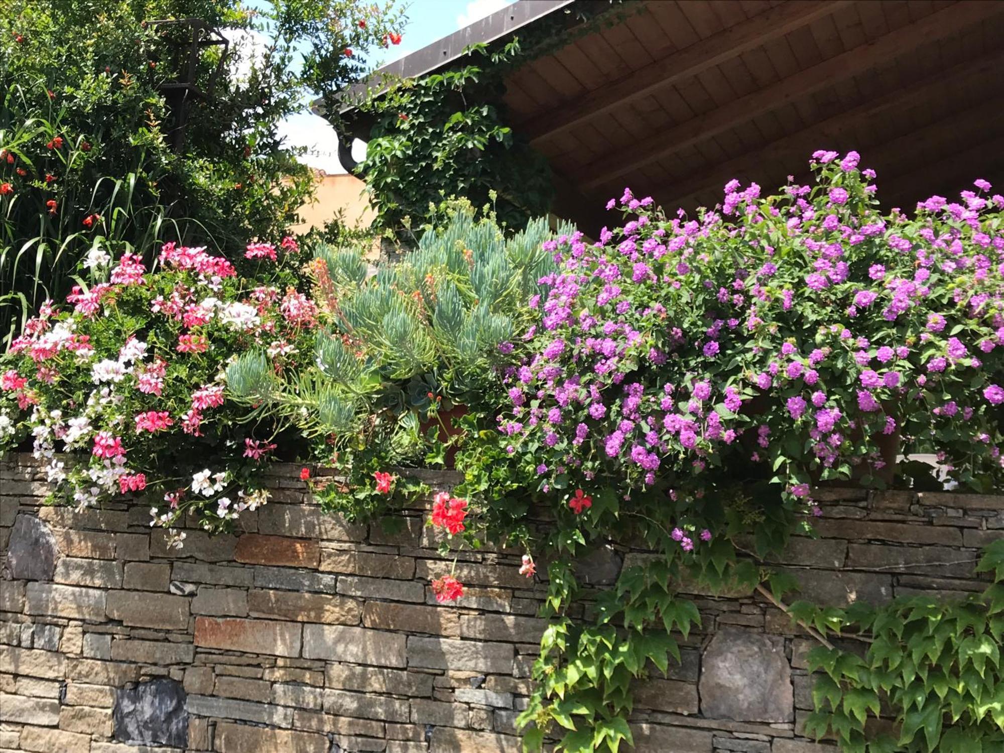 Villa Marlene B&B อัลเบงกา ภายนอก รูปภาพ